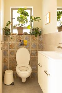 bagno con servizi igienici e piante in vaso sul muro di Our Mount Meron Orchard - your perfect getaway a Tsiv'on Altre 69 foto