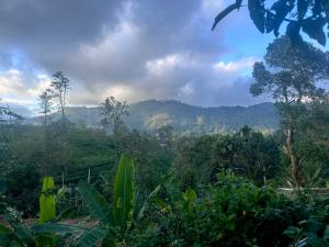 a view of a jungle with mountains in the background at Why Not Guset House Ella in Ella