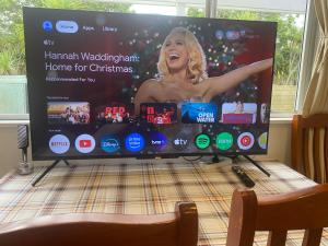 een grote tv bovenop een tafel bij Albany house in Motungarara +1 foto