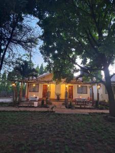 Zahrada ubytování River Lumi Resort, Taveta + 18 fotografií