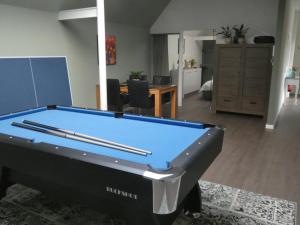 a living room with a pool table in it at Gastenverblijf Op den dreef in Hamont