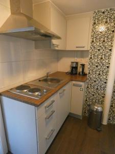 a small kitchen with a sink and a counter at Gastenverblijf Op den dreef in Hamont