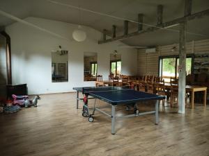 eine Tischtennisplatte in der Mitte eines Zimmers in der Unterkunft Agroturystyka U Zosi Bałtów in Bałtów