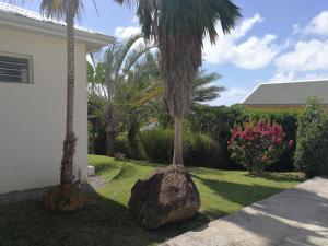 a house with two palm trees and a large rock at Villa Ticitron in Sainte-Anne