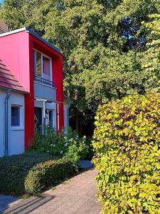 a red house is next to a bush at Deichhaus Boddentraum in Breege +13 photos