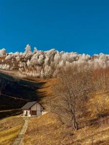 een klein huis aan de zijkant van een heuvel bij The White House in Şirnea