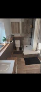 ein Badezimmer mit Dusche, Toilette und Waschbecken in der Unterkunft La longère Saint-Eloi 