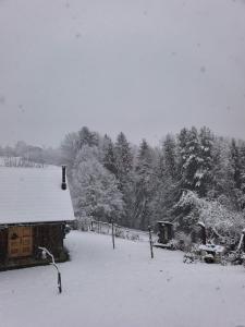 Exklusives Naturjuwel - Kühbartl Simmerl om vinteren