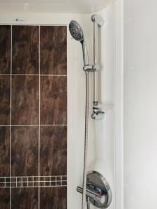 a shower with a blow dryer in a bathroom at Princess's Palace, Holiday Lodge, Malvern View Leisure Park in Stanford Bishop +42 photos