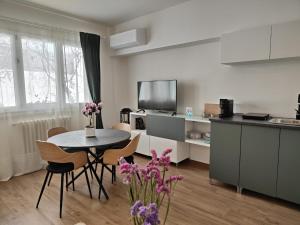 Kuchyň nebo kuchyňský kout v ubytování Palazzo Degli Antoci