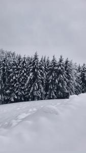 Exklusives Naturjuwel - Kühbartl Simmerl om vinteren