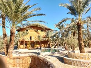 a resort with palm trees and a swimming pool at Paloma Lodge Guest House in Siwa
