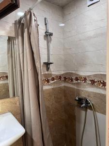 Et badeværelse på Old City Apartment