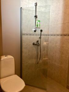 Billede fra billedgalleriet på Manela i Korospohja