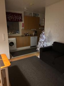 Billede fra billedgalleriet på Manela i Korospohja