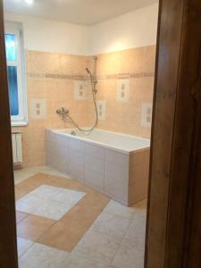 un bagno con vasca e doccia di Penzion Apollón a Liberec Altre 18 foto