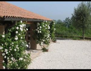 Fotografie z fotogalerie ubytování Country House - Casa Raffaella di Michele e Sven v destinaci Allerona