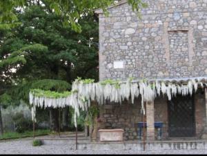 Fotografie z fotogalerie ubytování Country House - Casa Raffaella di Michele e Sven v destinaci Allerona