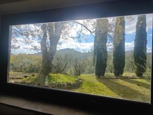 Fotografie z fotogalerie ubytování Country House - Casa Raffaella di Michele e Sven v destinaci Allerona