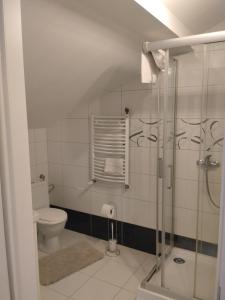 ein Badezimmer mit Toilette und Dusche in der Unterkunft Agroturystyka U Zosi Bałtów in Bałtów + 13 Fotos