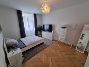a bedroom with a bed and a tv in a room at Süße Marie 2 in Karlsruhe