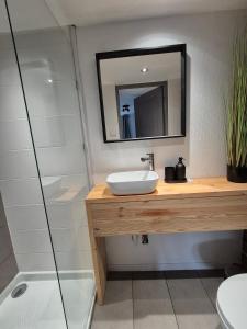 a bathroom with a sink and a shower at Le Loft Des Cigognes in Barr