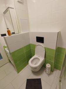 a bathroom with a toilet with green and white tiles at Apartmán Emma Volary in Volary +15 photos