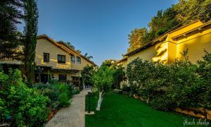 een kleine boom in een tuin naast een gebouw bij Nuriel Fruit & Guest House in Sheʼar Yashuv