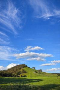 Příroda nedaleko apartmánu + 8 fotografií