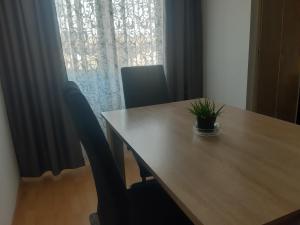 a dining room table with a potted plant on it at CenterZeroZoneOne in Banja Luka