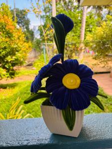 En have udenfor Shell villa