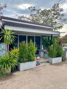 een huis met planten en een teddybeer ervoor bij Flower garden room 