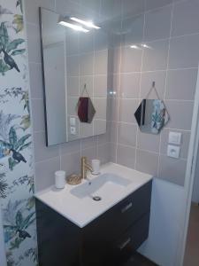 een badkamer met een wastafel en een spiegel bij L'Eclose - Les Korrigans in Le Guilvinec