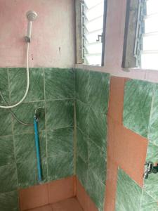 a shower in a bathroom with green tiles at New Phiman Riverview Guesthouse in Bangkok
