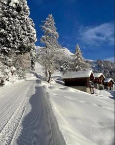 een met sneeuw bedekte weg met bomen en een hut bij Le Mayen de Colombire in Crans-Montana