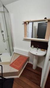 a bathroom with a sink and a shower and a mirror at Harfleur Studio in Harfleur +1 photo