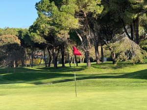 eine rote Flagge auf einem grünen Golfplatz in der Unterkunft Villa Pineta Grande in Lignano Sabbiadoro