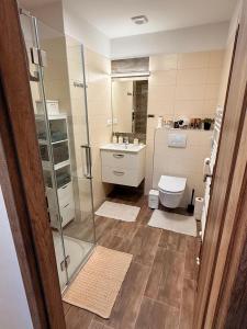 Koupelna v ubytování Apartmán Nekonečno Jeseník