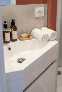 een wastafel met handdoeken en zeep erop bij Bois Émeraude in Aix-les-Bains