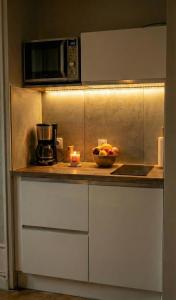 een keuken met een aanrechtblad waarop een blender en een fruitschaal staan bij Bois Émeraude in Aix-les-Bains