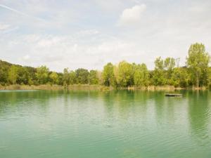 un grand lac vert avec des arbres en arrière-plan dans l'établissement Huge Holiday Home in Marina di Castagneto Carducci near Sea, à Donoratico