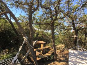 un banc en bois attaché à un arbre avec une balançoire dans l'établissement Huge Holiday Home in Marina di Castagneto Carducci near Sea, à Donoratico 33 autres photos