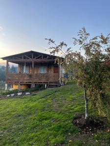 Vườn quanh Cabañas de campo