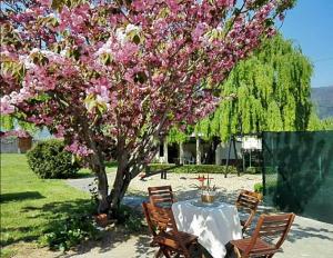 einen Tisch und Stühle unter einem Baum mit rosa Blumen in der Unterkunft Hotel Montero in Mondoñedo