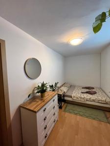 ein Schlafzimmer mit einem Bett und einer Kommode mit Spiegel in der Unterkunft Green Garden Home in Cerknica
