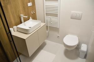 een witte badkamer met een toilet en een wastafel bij Apartmány Žermanice in Horní Soběšovice +8 foto's