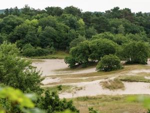 Naturlandskabet i nærheden af lejligheden + 33 billeder