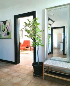 ein Wohnzimmer mit einer Topfpflanze und einem Spiegel in der Unterkunft Nature Gem Near Haderslev With 160-Year-Old Beech in Vedbøl