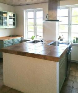 eine Küche mit Spüle und Arbeitsplatte in der Unterkunft Nature Gem Near Haderslev With 160-Year-Old Beech in Vedbøl