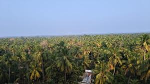 een luchtzicht op een palmboomplantage bij Gurunandanam in Guruvāyūr